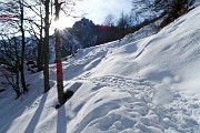 25 Ultimo strappo nel bosco per arrivare al Passo di Grialeggio